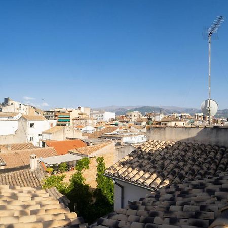 Atico Duplex Terraza Privada Centro Apartment Granada Bagian luar foto
